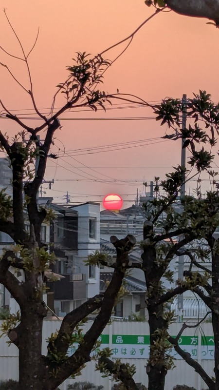 The sun low on the horizon, red and round like on the Japanese flag
