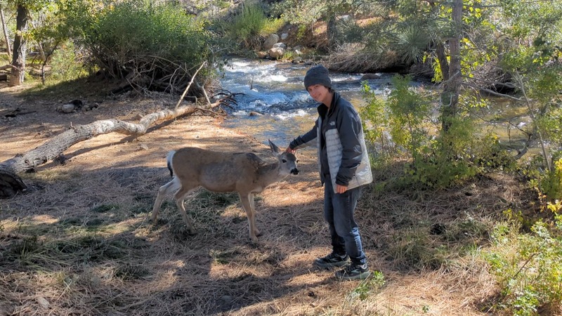 Rey patting a deer on the head. It was a surprisingly tame wild deer that I did not feed.