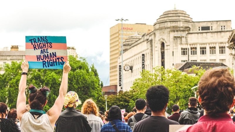 Person in crowd holding up sign with blue, pink, and white trans flag colors. The sign says "trans rights are human rights".