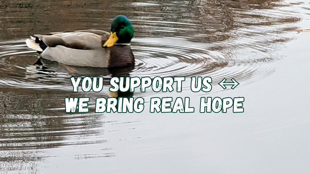 We Support You support us ↔ we bring real hope