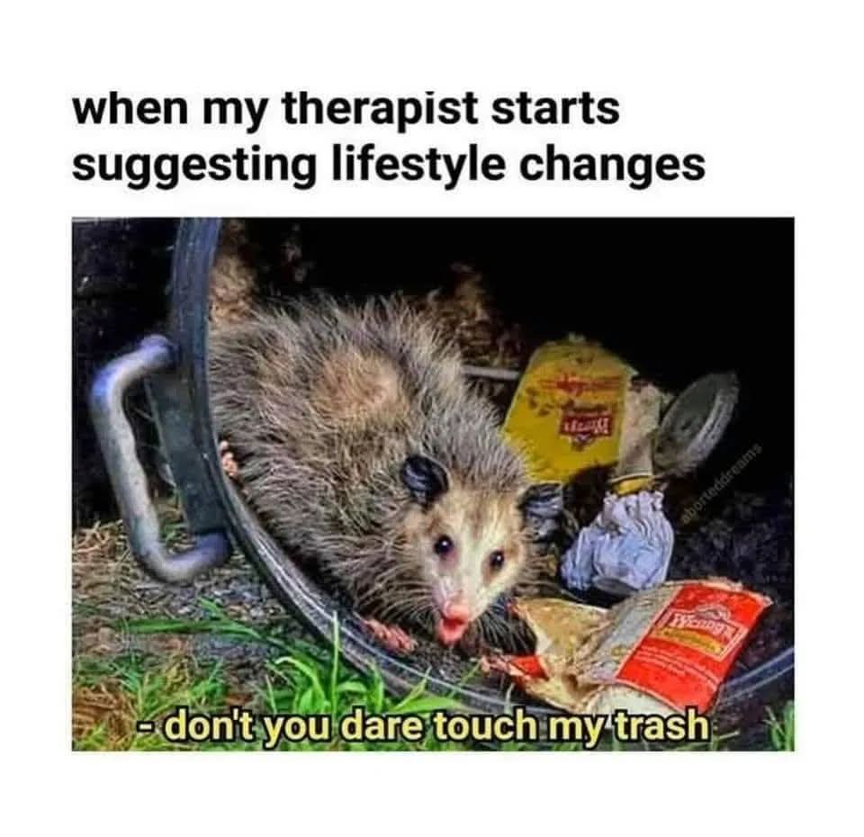 A meme titled "when my therapist starts suggesting lifestyle changes" with a photo of an opossum saying "don't you dare touch my trash"