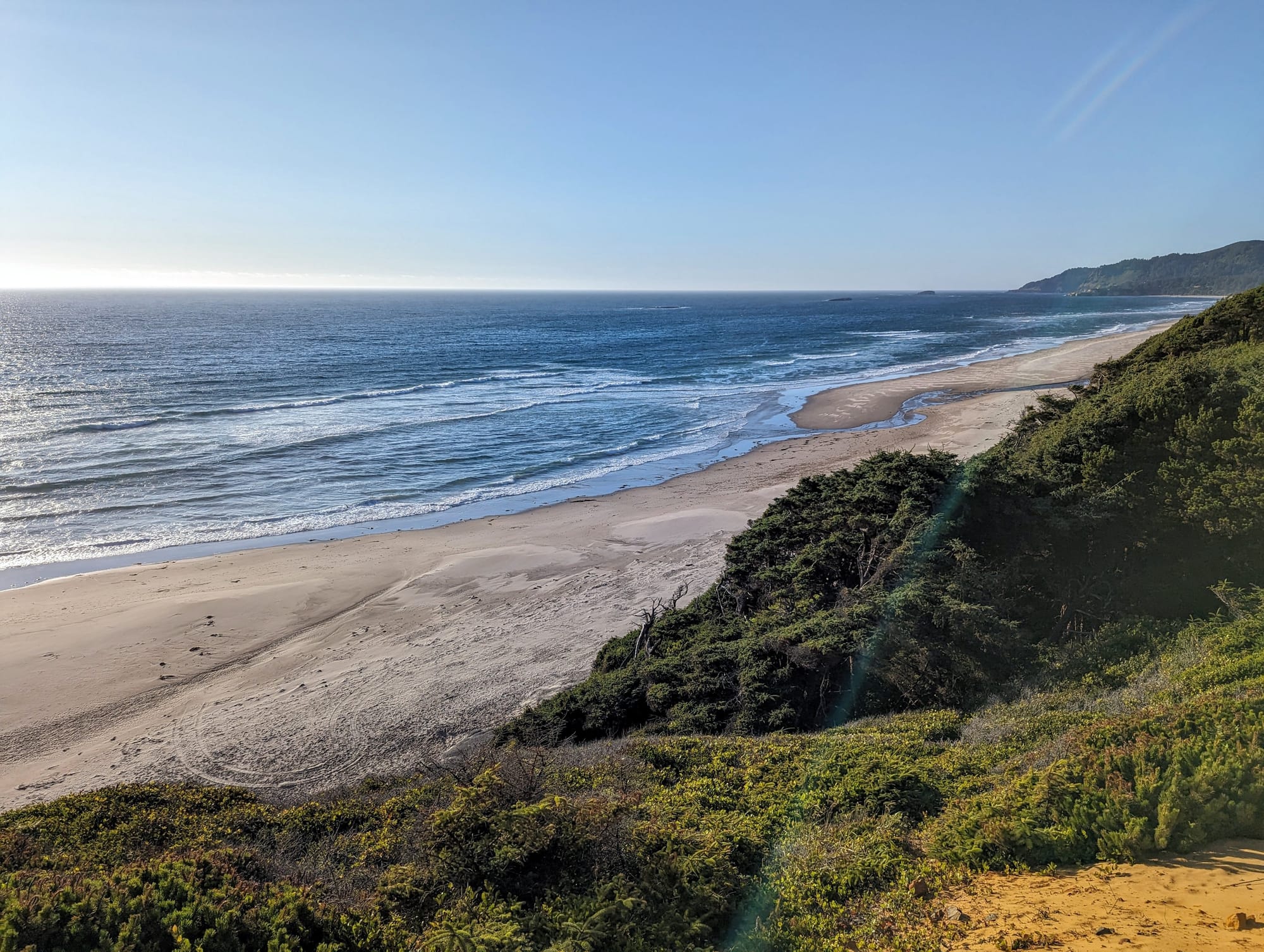 Photo of the Oregon coastline with sky, ocean, sand, and trees