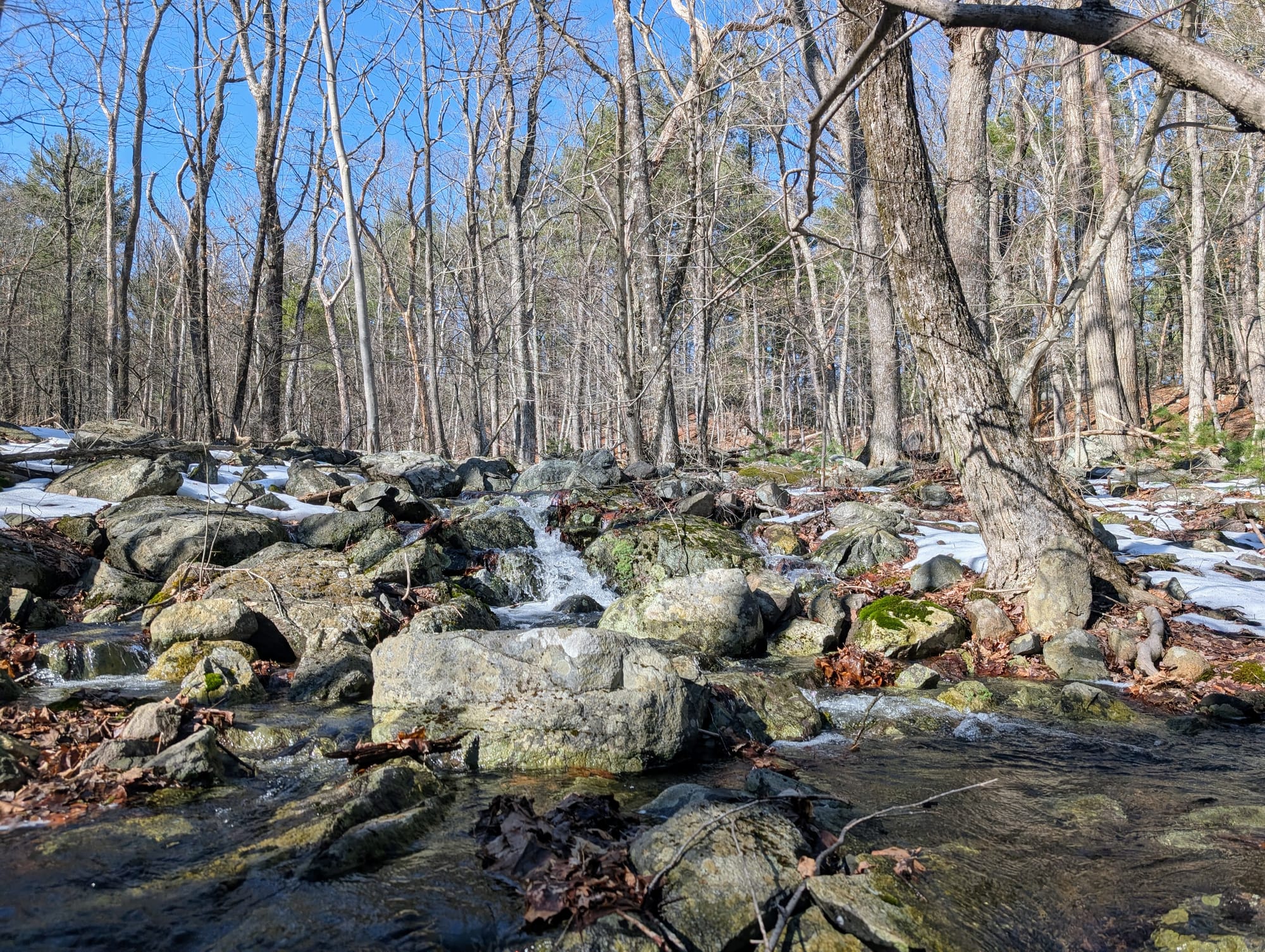 A beautiful stream flowing through mossy rocks in the forest with sunshine on the trees