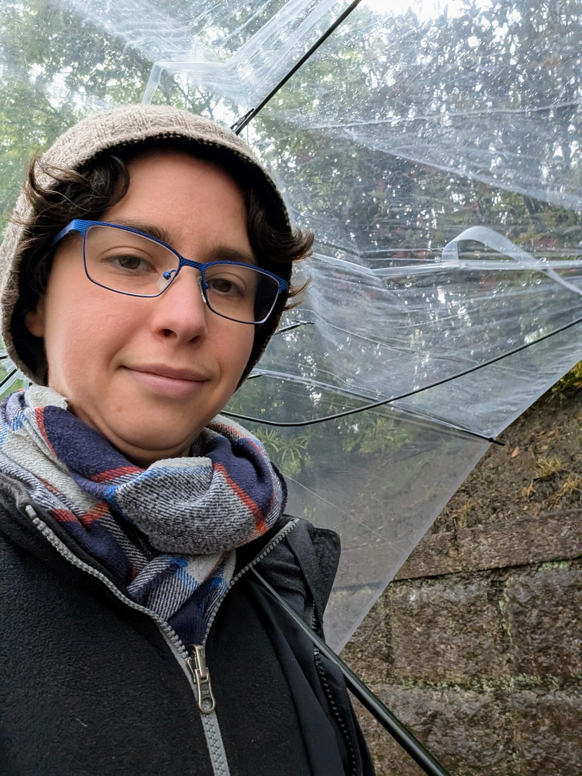 Rey holding a clear umbrella and walking in the rain wearing a scarf and hat