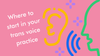 Exploring How To Change My Nonbinary Voice