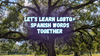 Let's learn LGBTQ+ Spanish words together, with a photo of a huge old oak tree