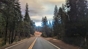 The wilderness on fire