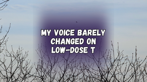 My voice barely changed on low-dose T, with a photo of trees with bare winter branches against the sky