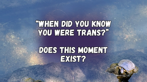 "When did you know you were trans?" Does this moment exist? With a serene photo of a turtle sitting on a rock out of the water
