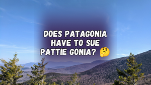 Does Patagonia have to sue Pattie Gonia? with a photo of evergreen trees with mountains and sky